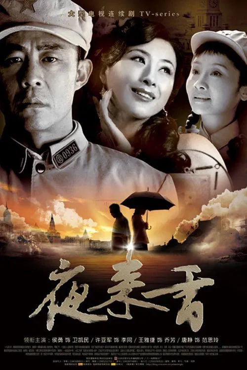 声生不息